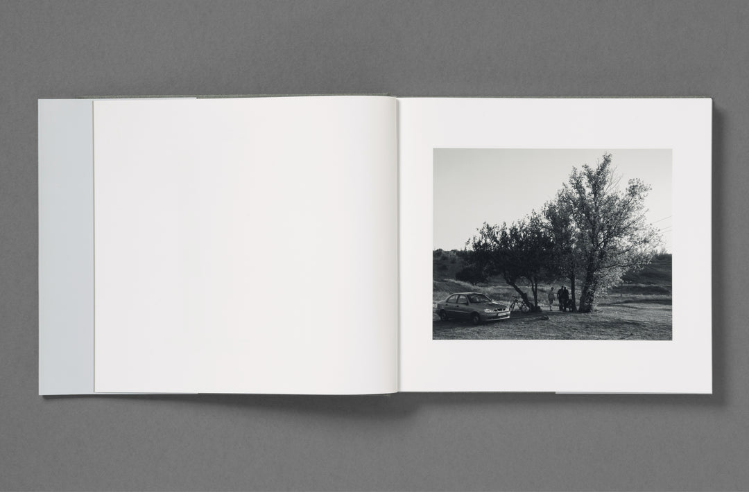 Aria Shahrokhshahi – Wet Ground