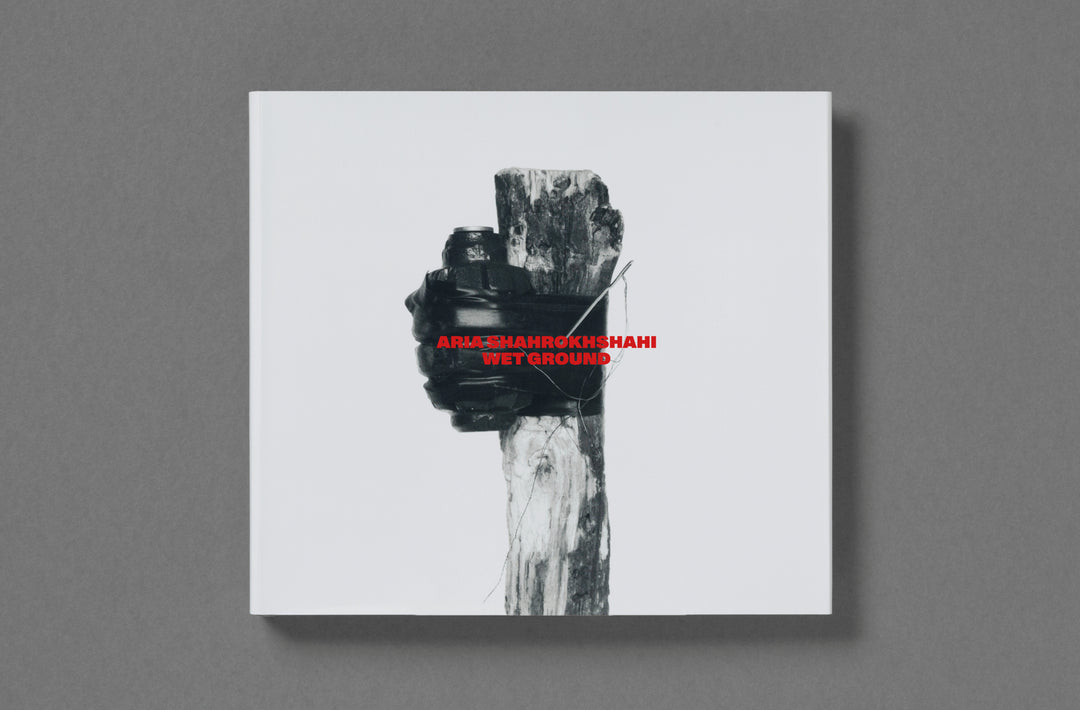 Aria Shahrokhshahi – Wet Ground