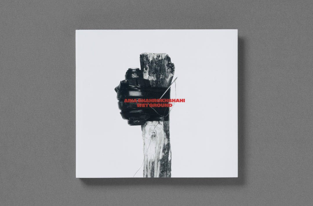 Aria Shahrokhshahi – Wet Ground