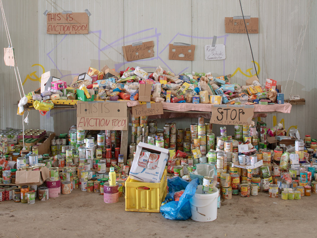 Michele Borzoni & Rocco Rorandelli – Silent Springs