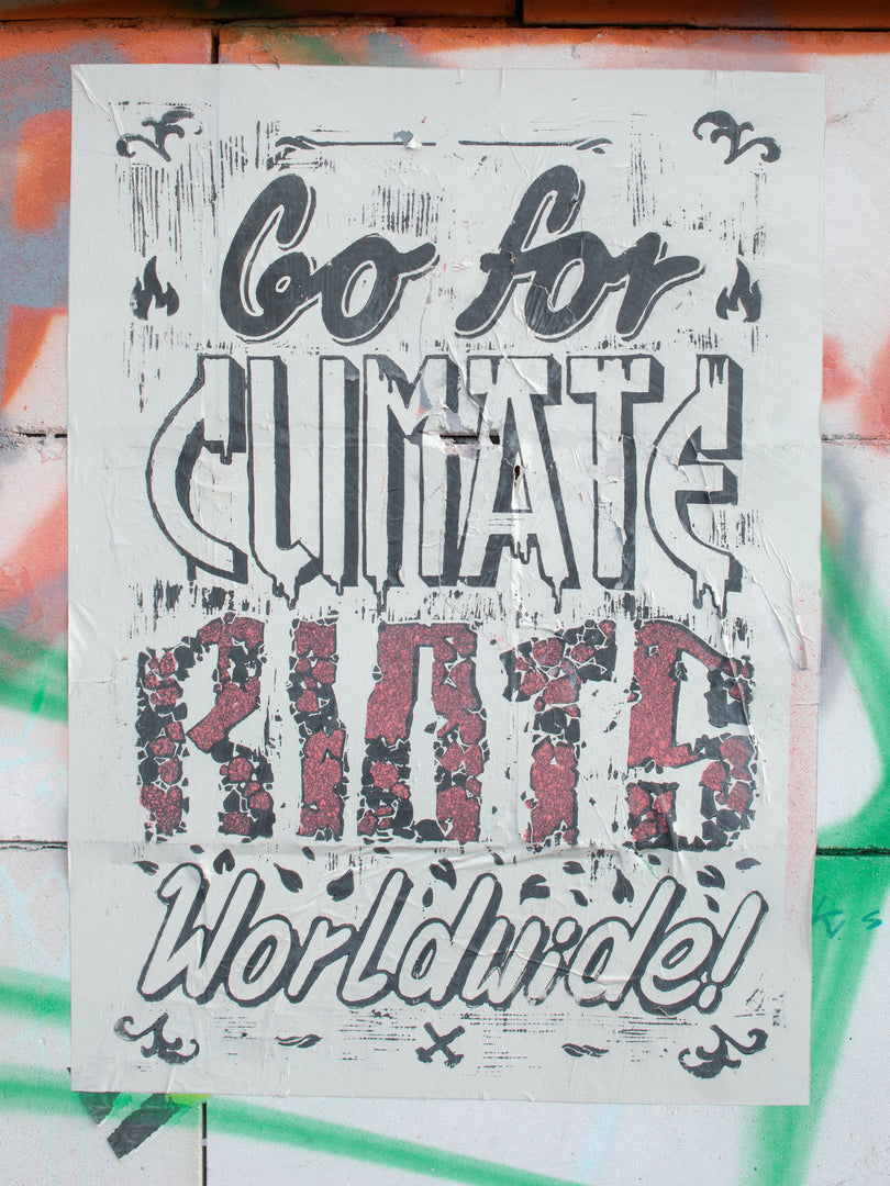 Michele Borzoni & Rocco Rorandelli – Silent Springs