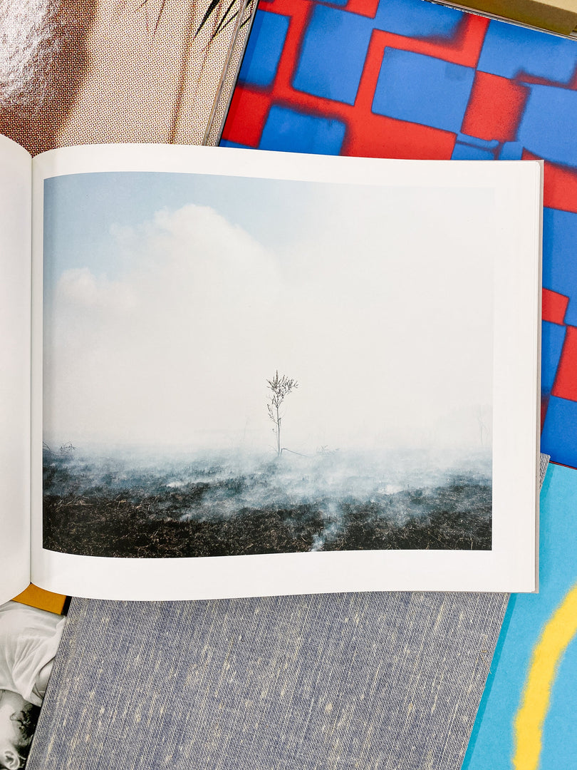Khashayar Javanmardi – Caspian: A Southern Reflection (Studio Sale)