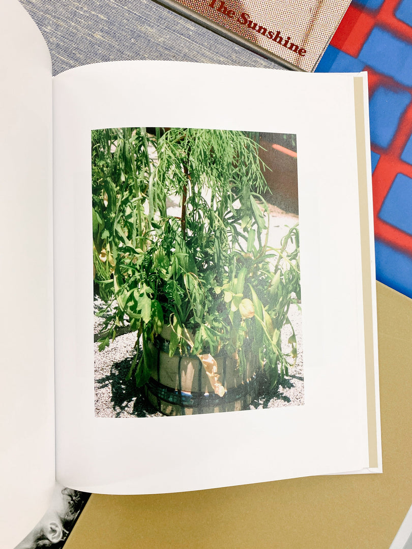 Roe Ethridge – In the Beginning (Studio Sale)