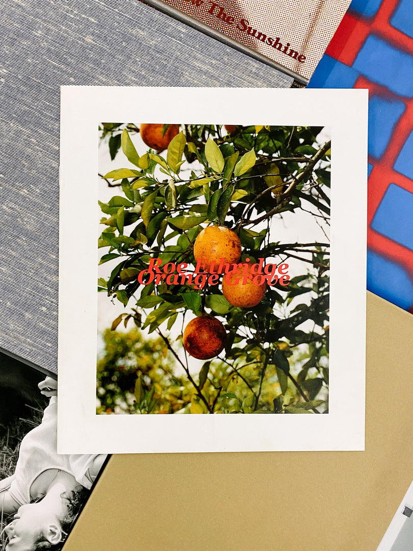 Roe Ethridge – In the Beginning (Studio Sale)