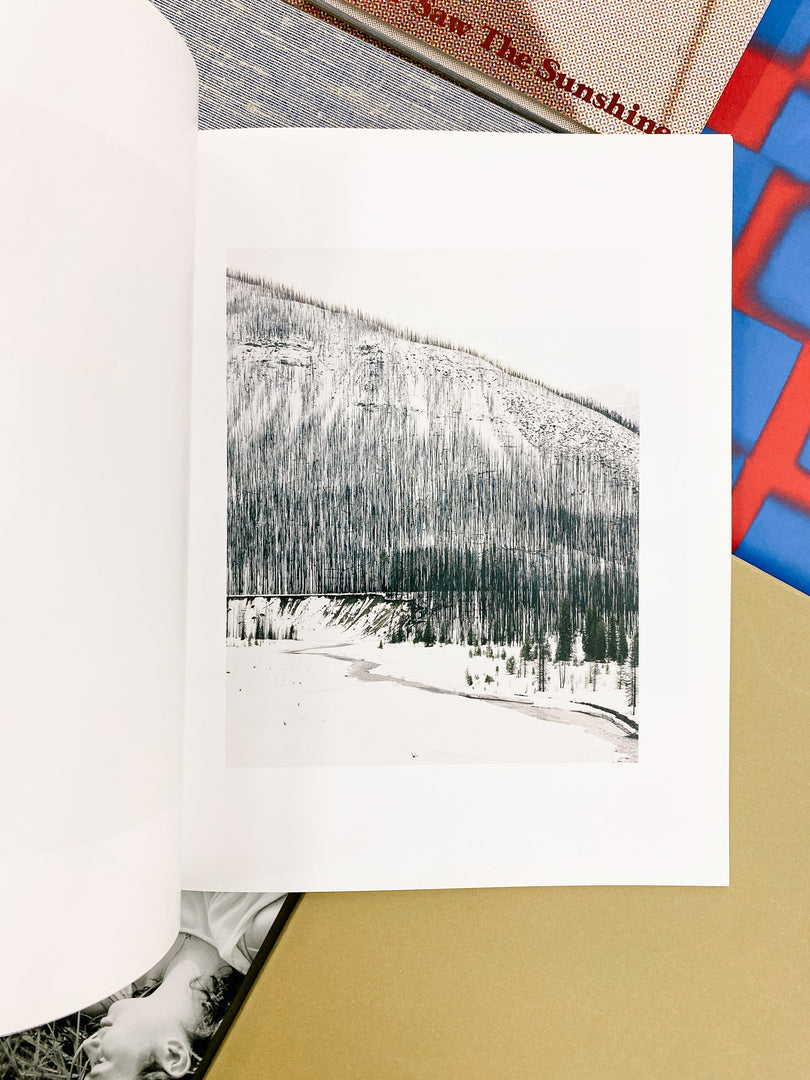 Roe Ethridge – In the Beginning (Studio Sale)