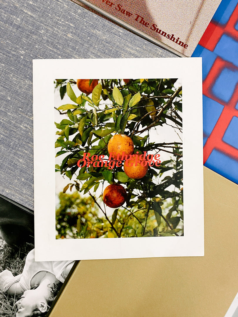 Roe Ethridge – In the Beginning (Studio Sale)