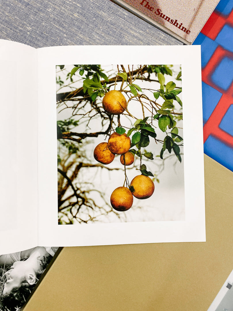Roe Ethridge – In the Beginning (Studio Sale)