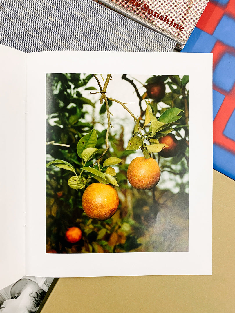 Roe Ethridge – In the Beginning (Studio Sale)