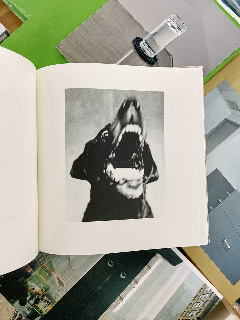 Jack Davison – Photographs (Studio Sale)