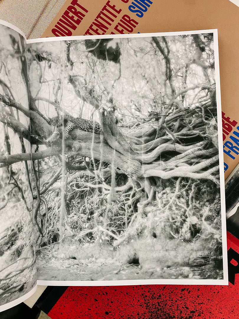 Richard Mosse – Broken Spectre (Studio Sale)