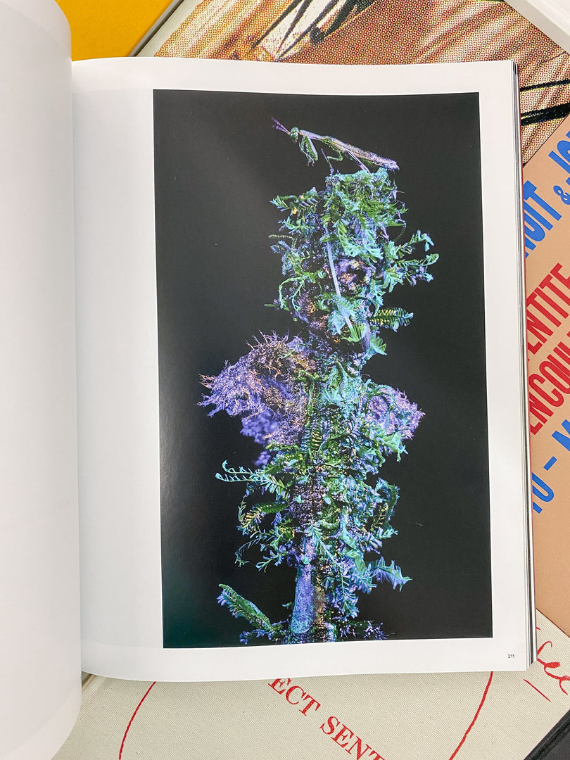 Richard Mosse – Broken Spectre (Studio Sale)