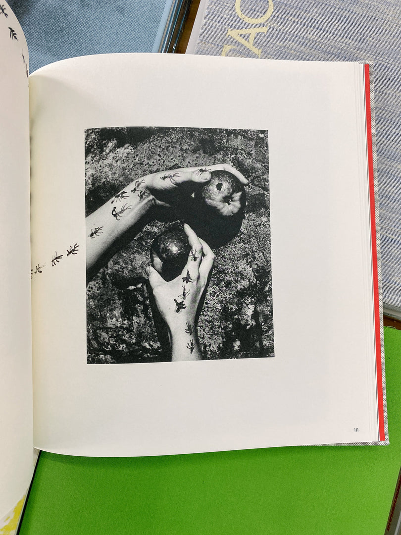SOLD OUT – Jack Davison – Photographs Annotated (Studio Sale)