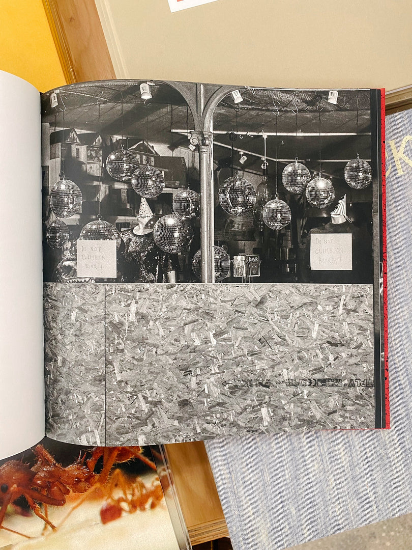 Robin Friend – Apiary (Studio Sale)
