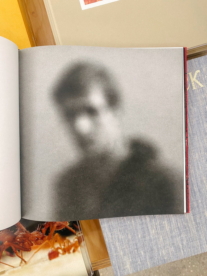 Robin Friend – Apiary (Studio Sale)