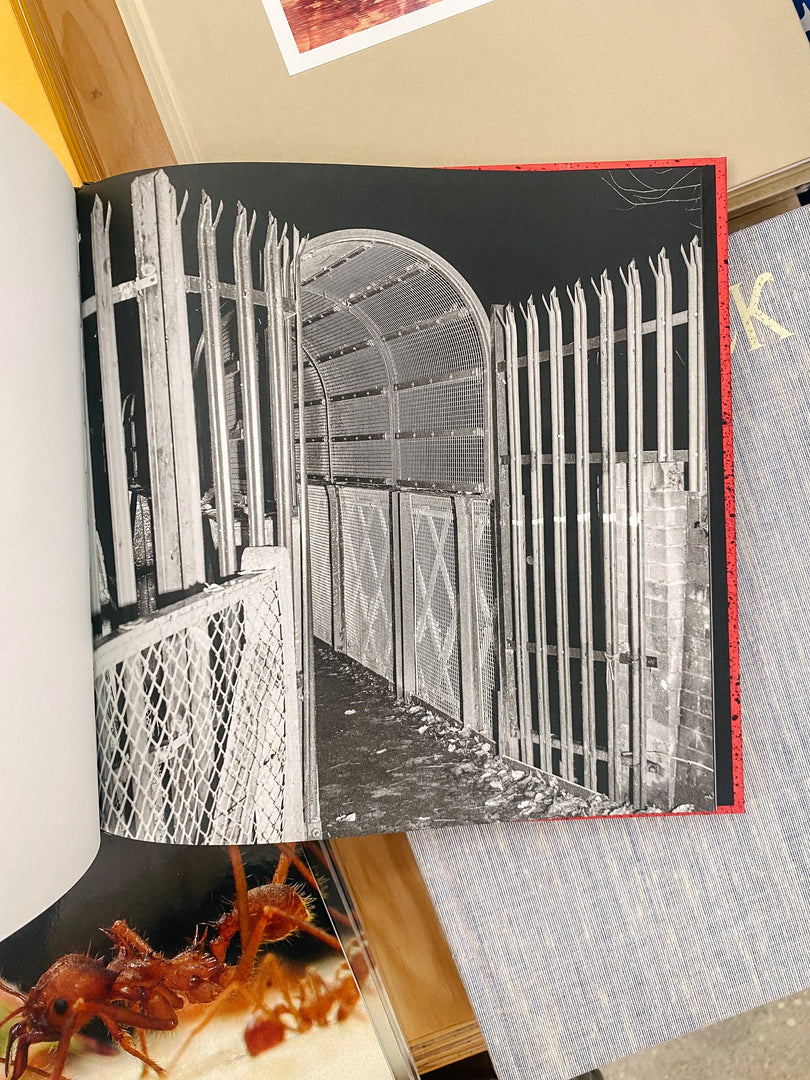 Robin Friend – Apiary (Studio Sale)
