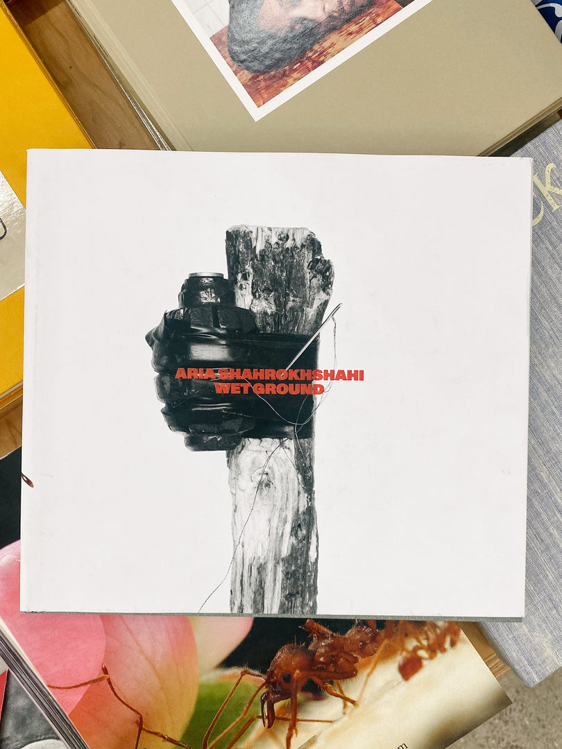 Aria Shahrokhshahi – Wet Ground (Studio Sale)