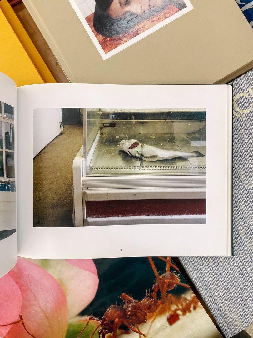 Tim Richmond – Love Bites (Studio Sale)