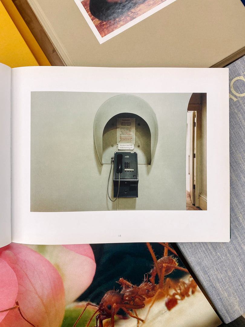 Tim Richmond – Love Bites (Studio Sale)