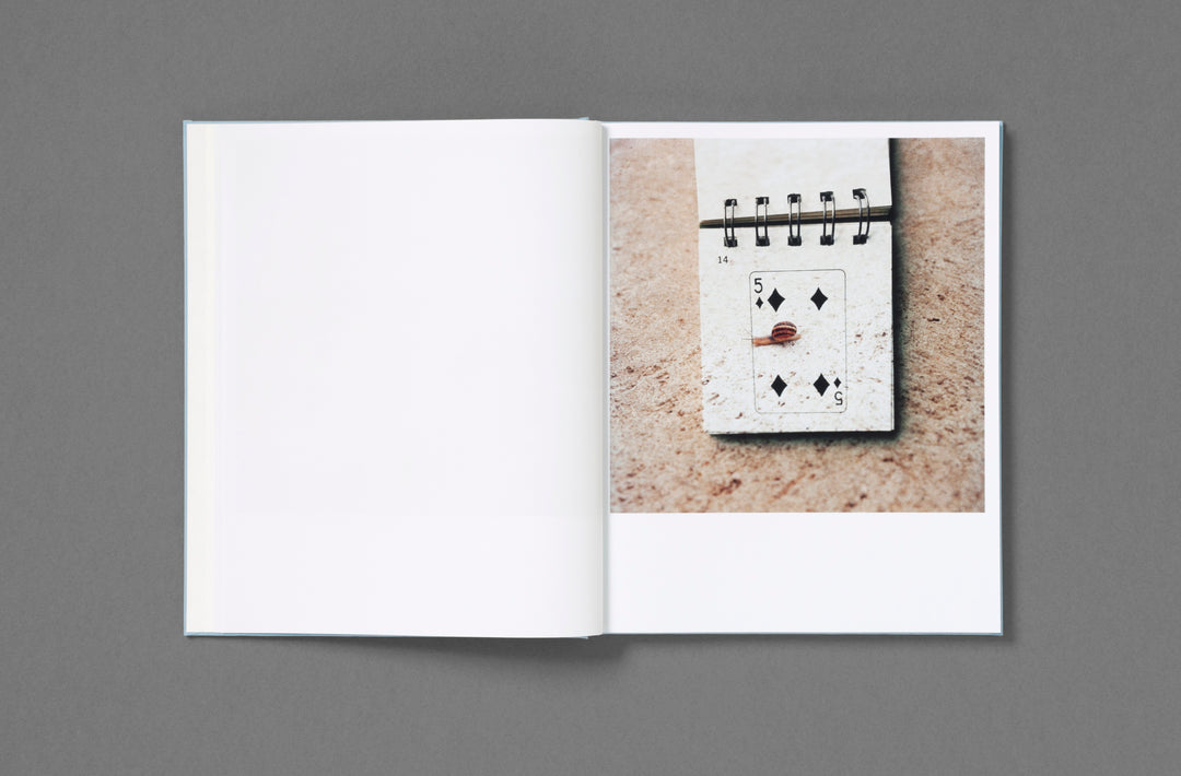Jason Fulford – Frozen Features