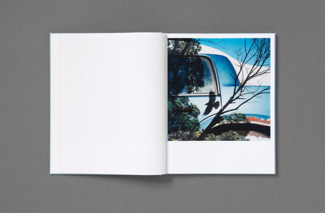 Jason Fulford – Frozen Features