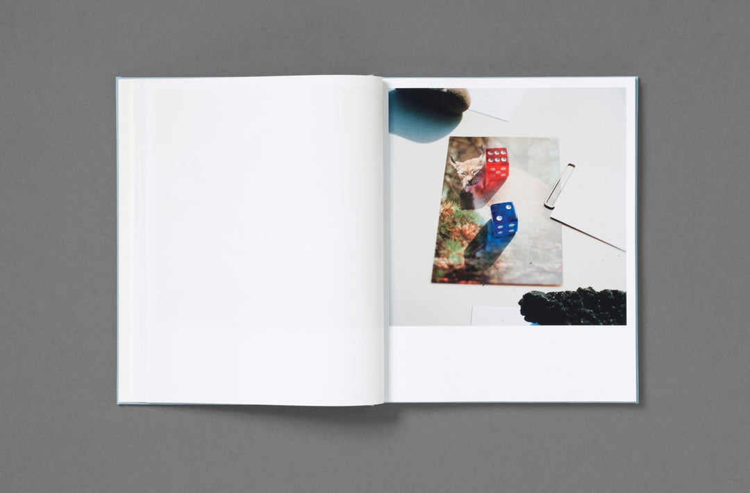 Jason Fulford – Frozen Features