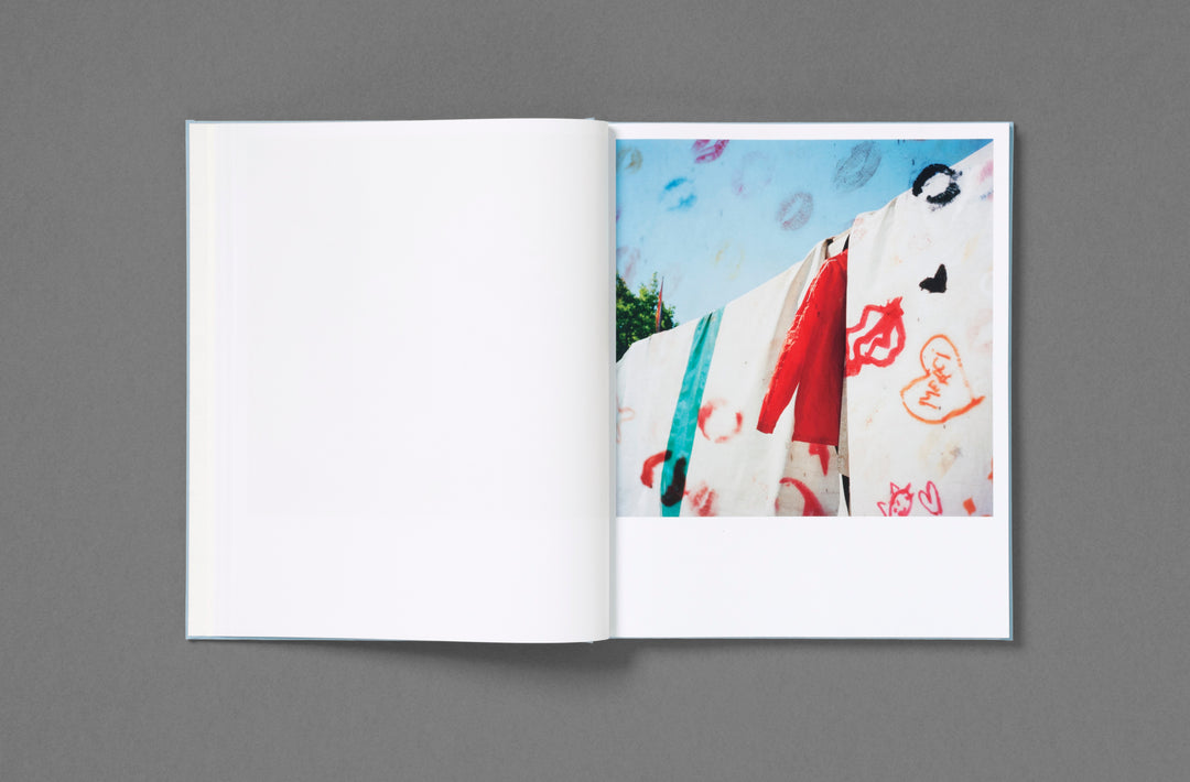 Jason Fulford – Frozen Features