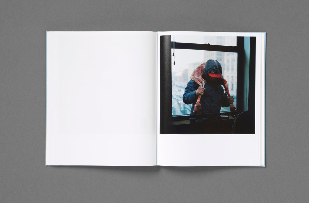 Jason Fulford – Frozen Features
