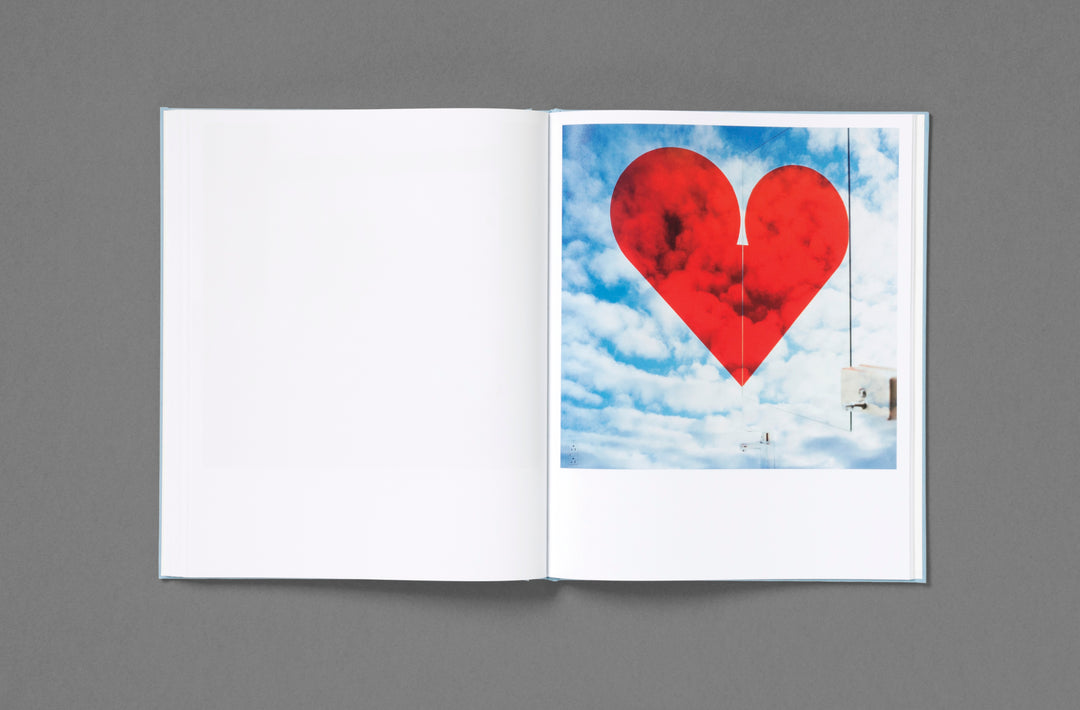 Jason Fulford – Frozen Features
