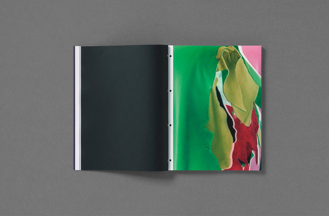 Passé Présent Futur: the Fondation d’entreprise Hermès Artists' Residencies curated by Emmanuelle Luciani