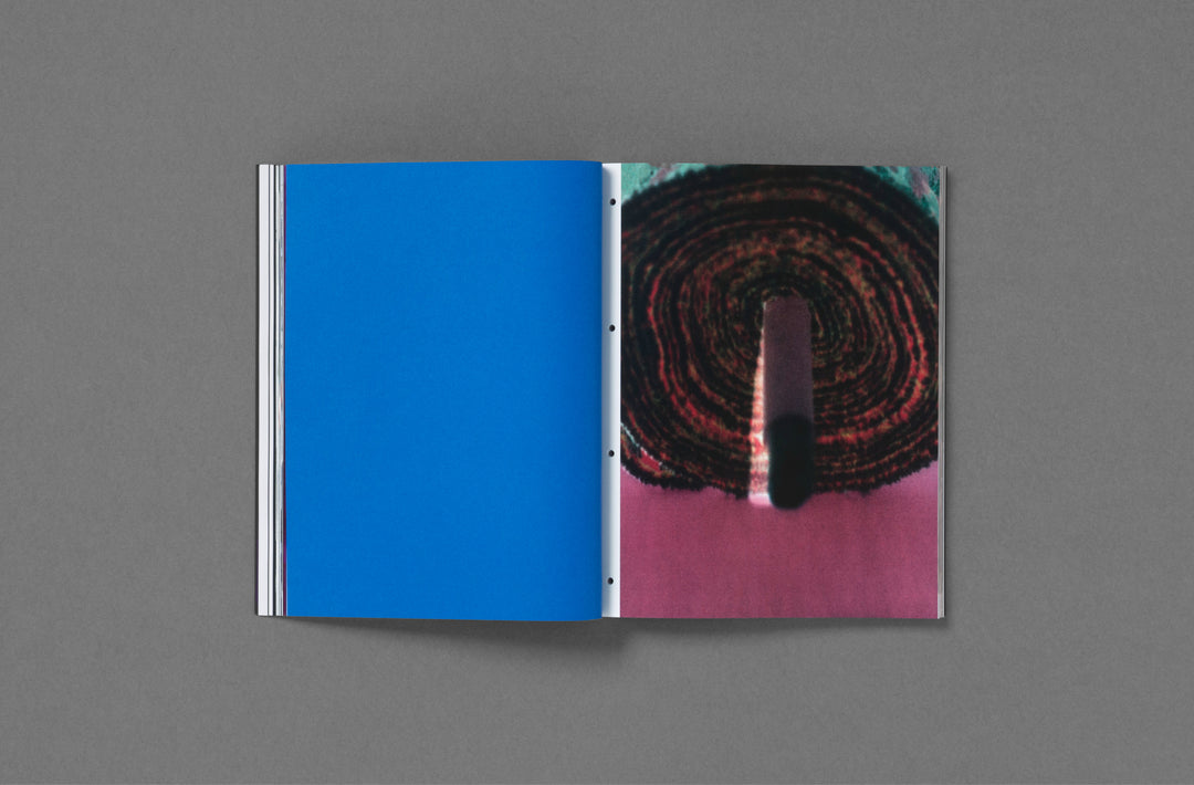 Passé Présent Futur: the Fondation d’entreprise Hermès Artists' Residencies curated by Emmanuelle Luciani