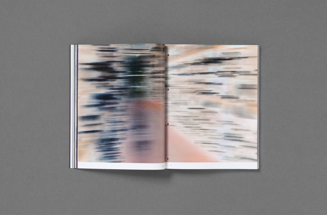 Passé Présent Futur: the Fondation d’entreprise Hermès Artists' Residencies curated by Emmanuelle Luciani