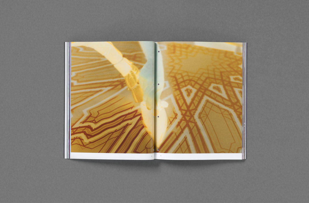 Passé Présent Futur: the Fondation d’entreprise Hermès Artists' Residencies curated by Emmanuelle Luciani