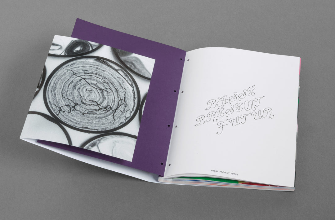 Passé Présent Futur: the Fondation d’entreprise Hermès Artists' Residencies curated by Emmanuelle Luciani