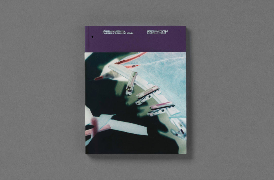 Passé Présent Futur: the Fondation d’entreprise Hermès Artists' Residencies curated by Emmanuelle Luciani