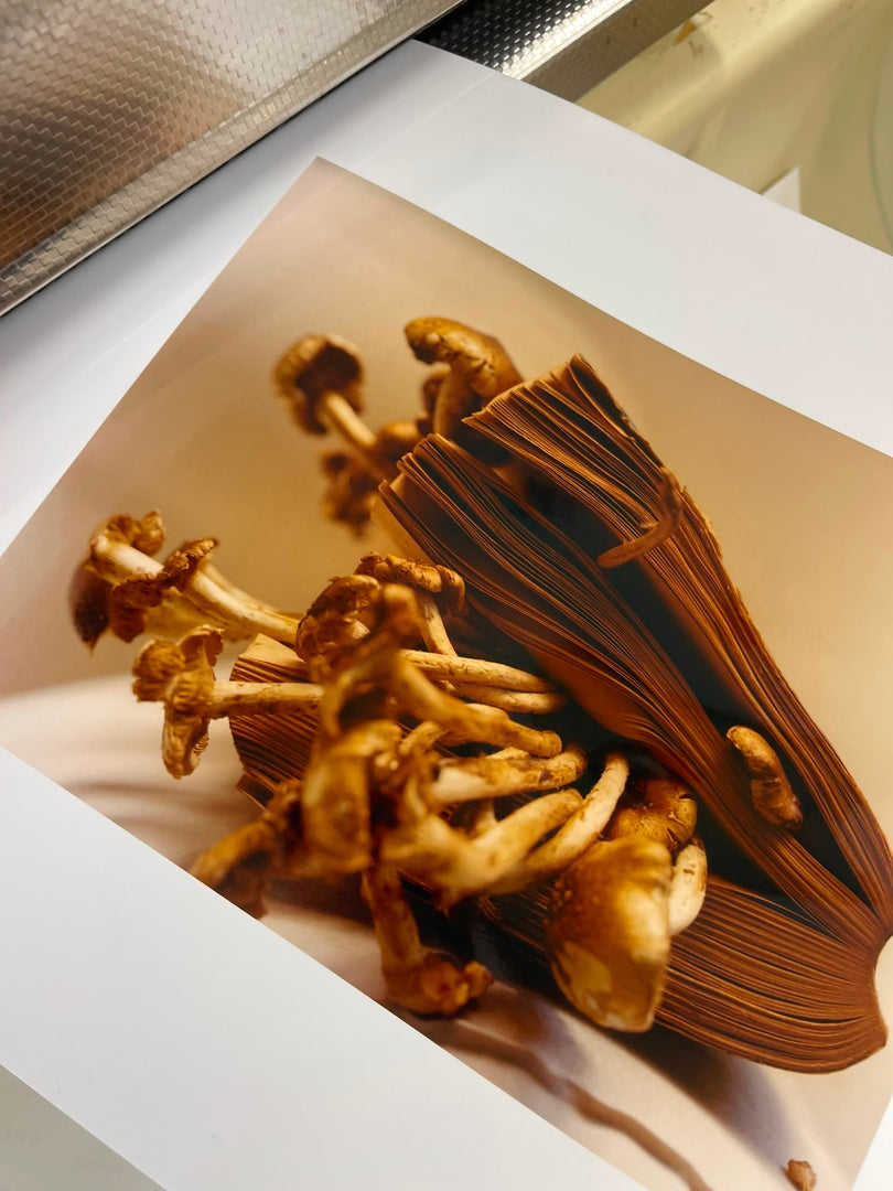 Colin Dodgson – Earthquake Weather Print Edition