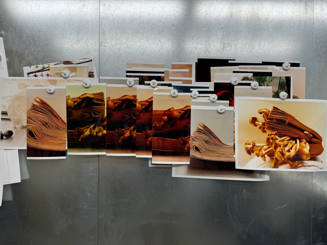 Colin Dodgson – Earthquake Weather Print Edition