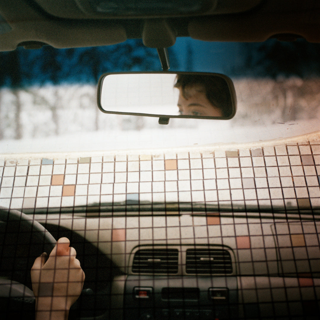 Jason Fulford – Frozen Features