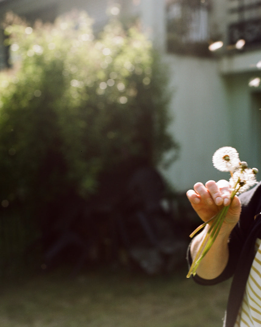 Camille Farrah Lenain – Made of Smokeless Fire