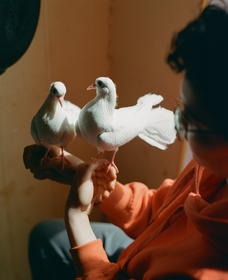 Camille Farrah Lenain – Made of Smokeless Fire