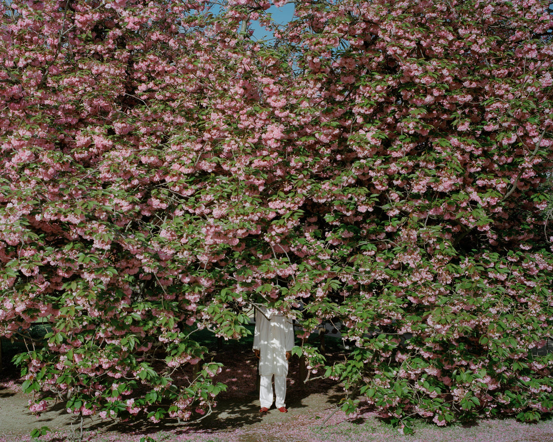 Camille Farrah Lenain – Made of Smokeless Fire