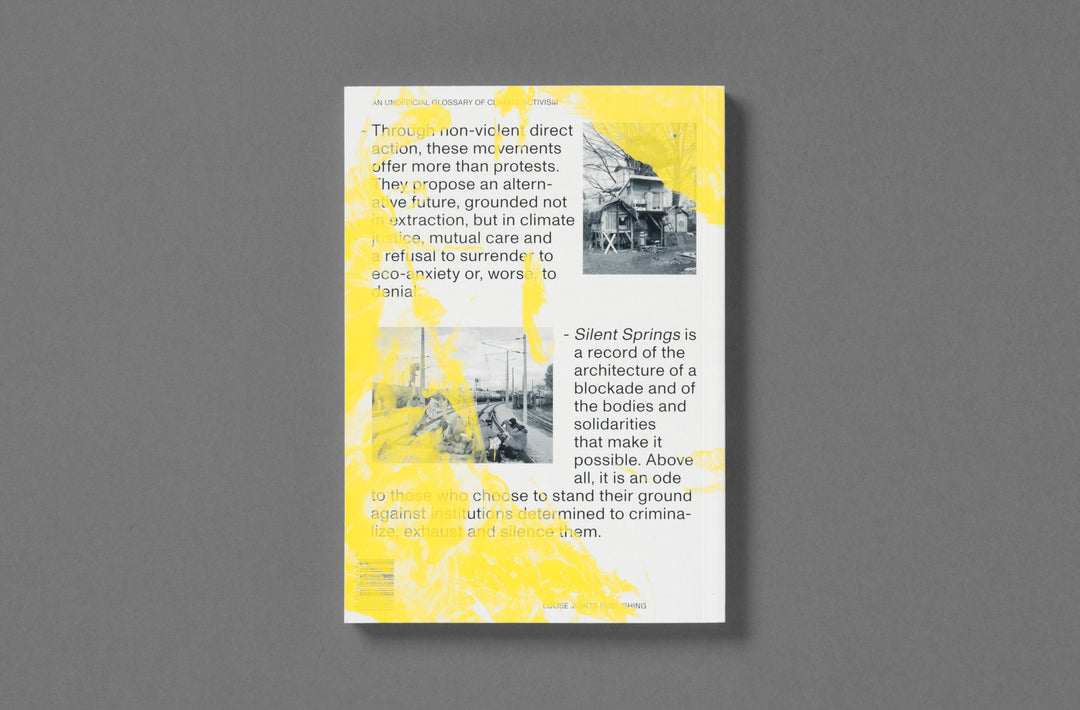 Michele Borzoni & Rocco Rorandelli – Silent Springs