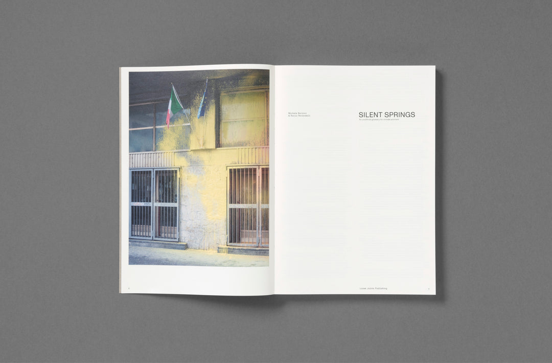 Michele Borzoni & Rocco Rorandelli – Silent Springs