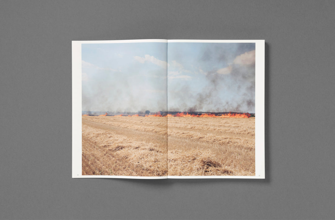 Michele Borzoni & Rocco Rorandelli – Silent Springs