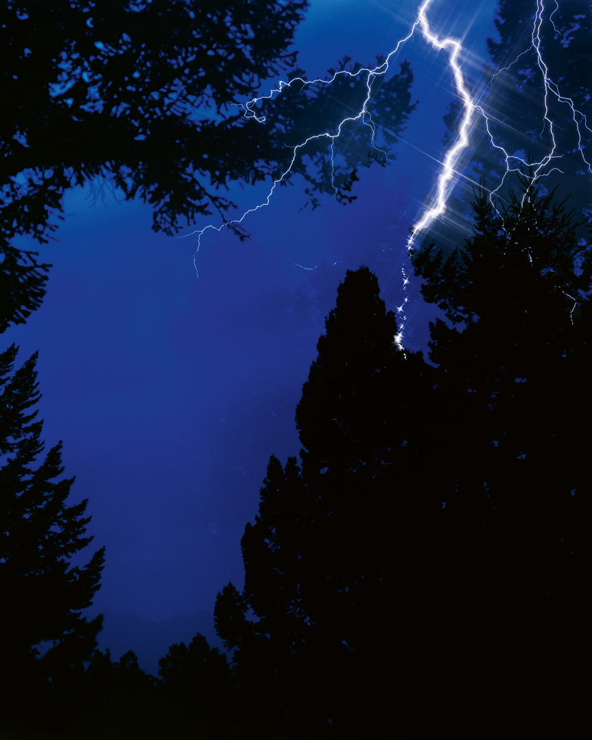 Roe Ethridge – In the Beginning