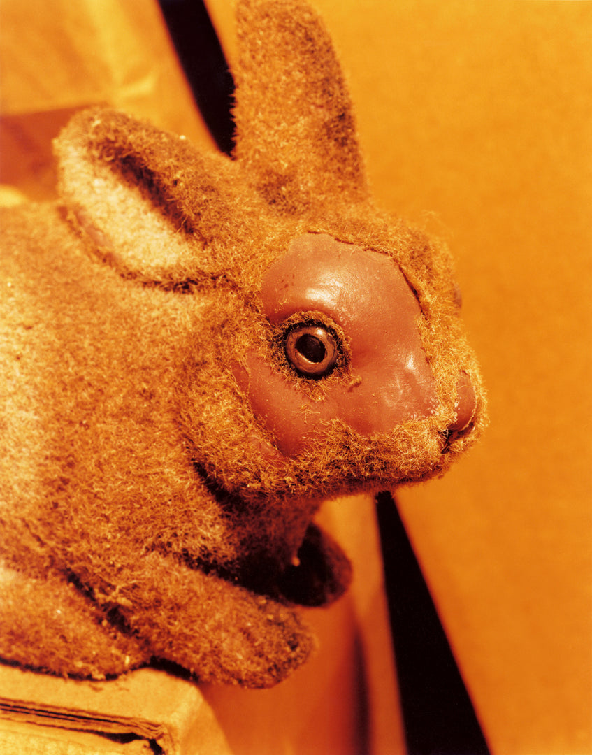 Roe Ethridge – In the Beginning