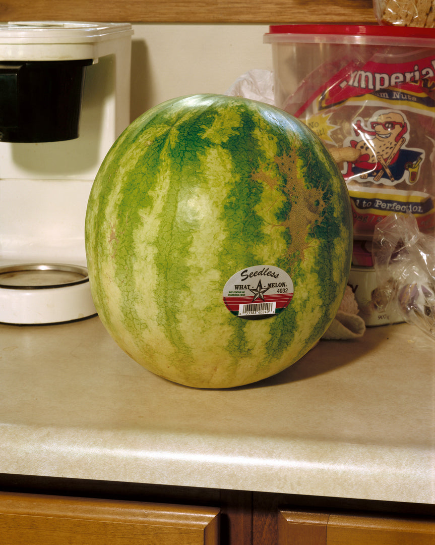 Roe Ethridge – In the Beginning