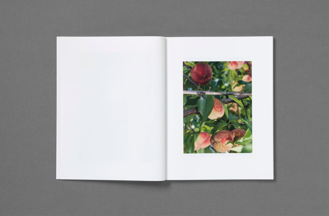 Roe Ethridge – Rude in the Good Way