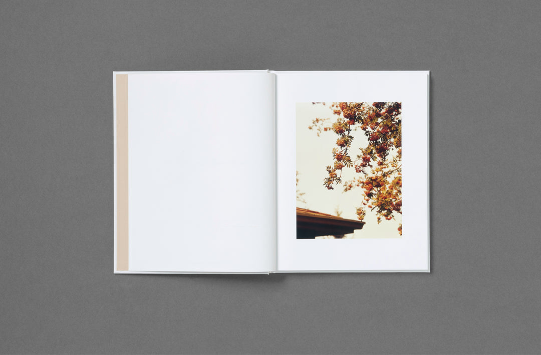 Roe Ethridge – In the Beginning