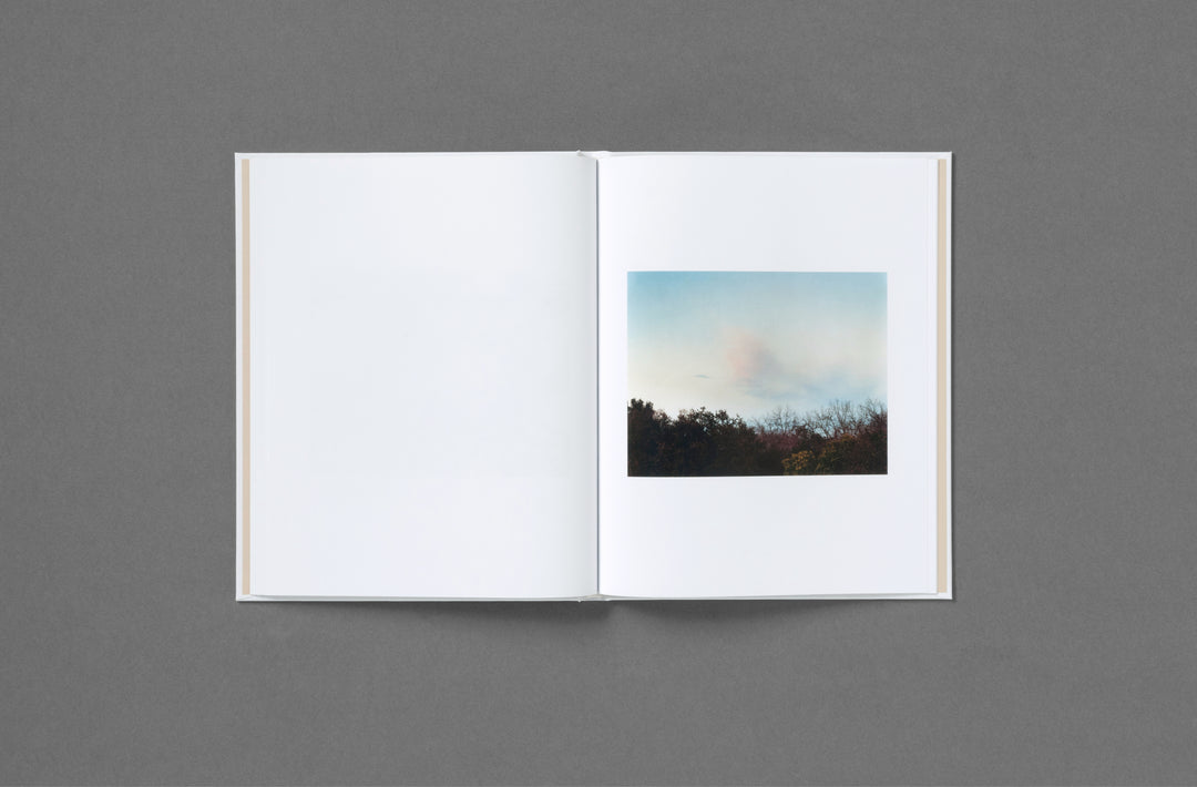 Roe Ethridge – In the Beginning