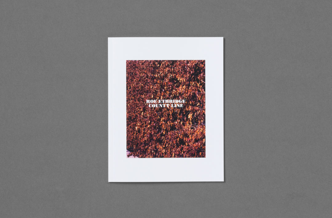 Roe Ethridge – In the Beginning